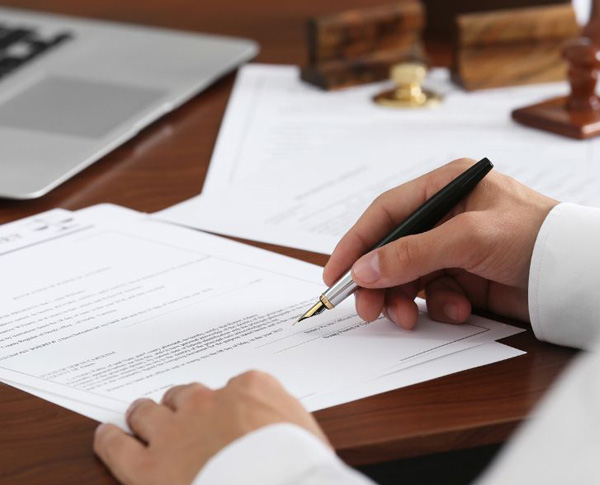 image of a person reviewing grant of probate or letters of administration